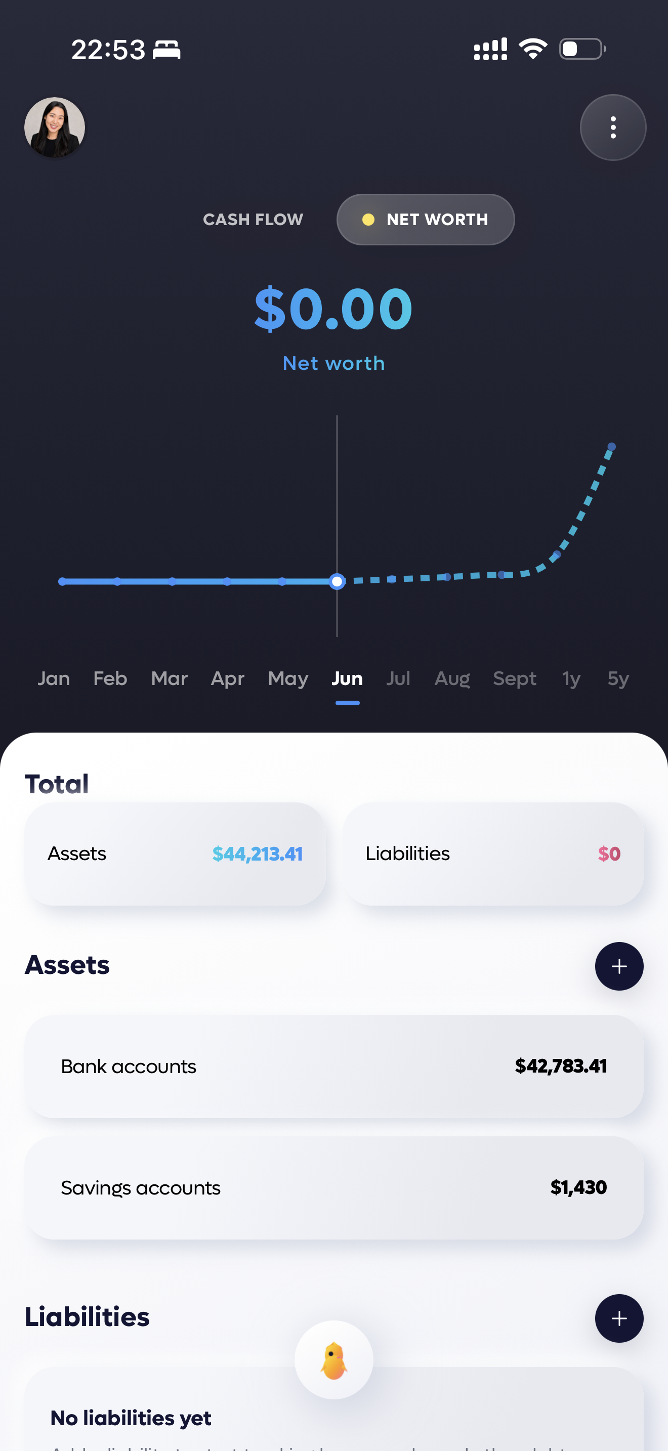 Net Worth screen showing $44,213 assets with bank and savings accounts breakdown